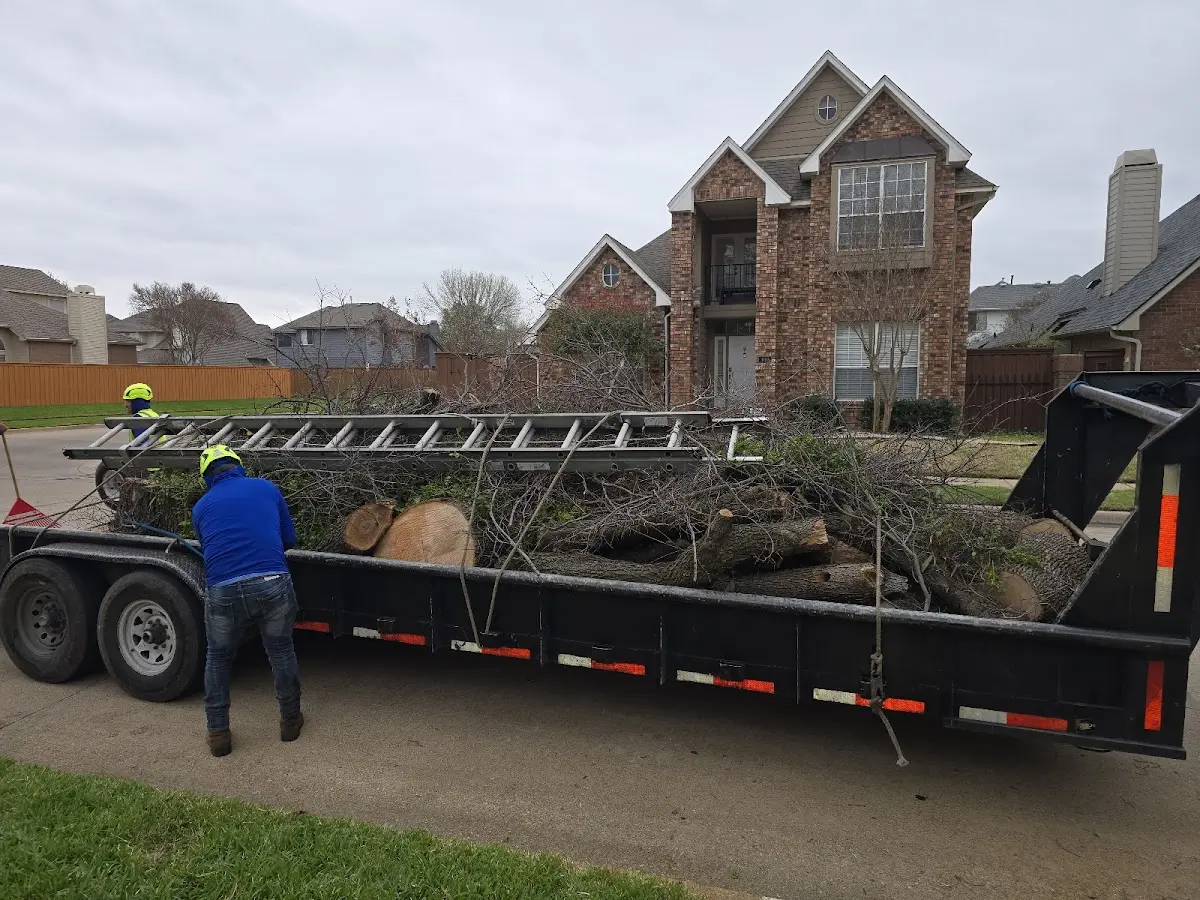Expert Tree Removal with proper safety equipment in Hanover